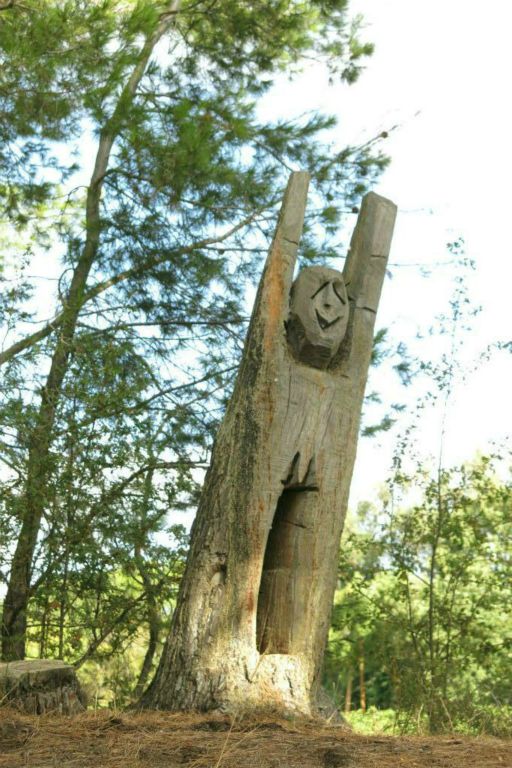 Sculpture sur arbre à l'écluse de l'Aiguille